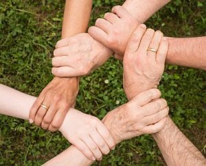 organizations team coaching
