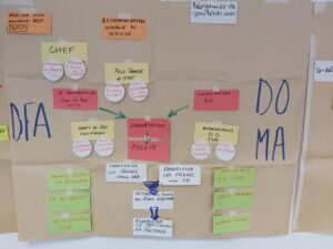 Co-développement